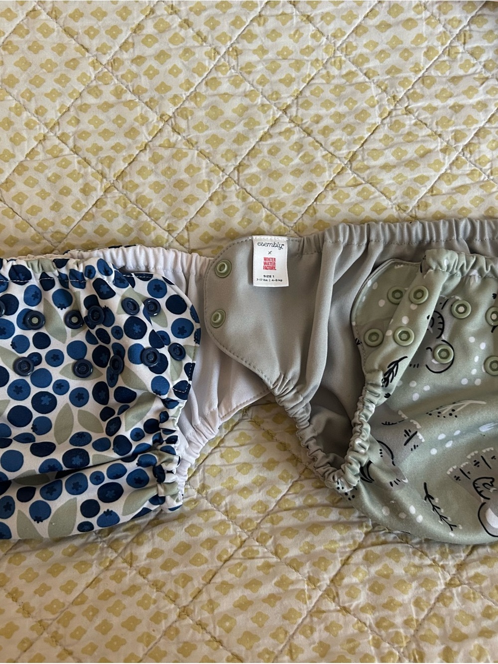 Adjustable Blue & Sage Cloth Diaper Cover by Coterie